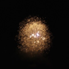 64C04920