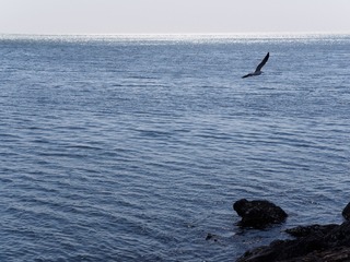 P3151025-1-2