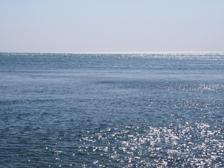 P3151038-1-2