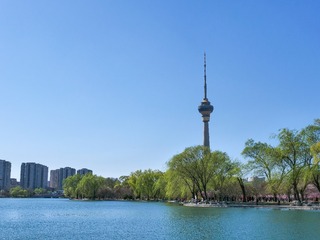 P1037682-1