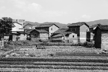 DSC01165.JPG
