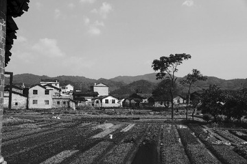 DSC01174.JPG
