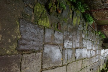 DSC00820.JPG