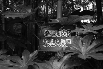 DSC01230.JPG