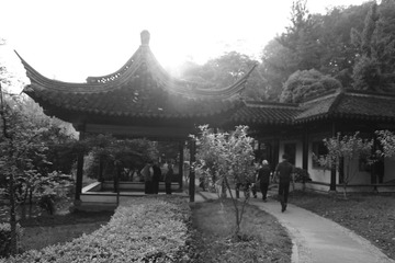 DSC01236.JPG
