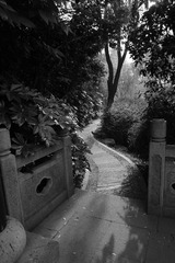 DSC01267.jpg