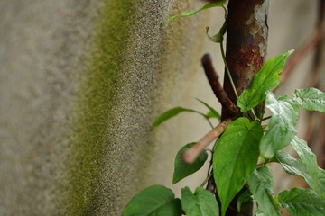 DSC00932.JPG