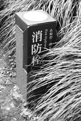 DSC01583.jpg