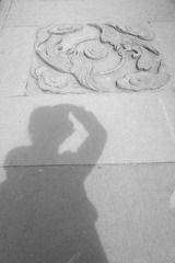 DSC01598.jpg