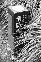 DSC01583.jpg
