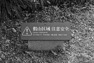 DSC01590.JPG