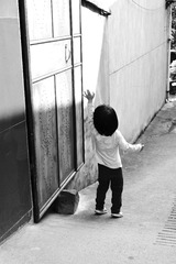 DSC01204.jpg