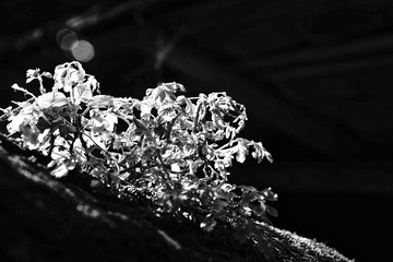 DSC01201.JPG