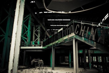P6242926.jpg