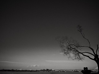 _B251547