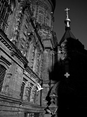_B251523111