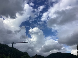 8D818E88-57E9-4AC0-BC18-F951903B9CA1/L0/001