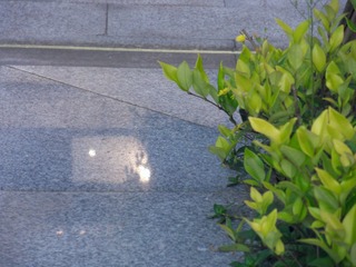 27211357-B3A9-42D8-90D0-E7D5DBE52513/L0/001
