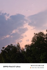 1000063468