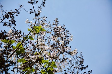 8638AEB3-CE6D-401C-AB78-6BA47FF87899/L0/001
