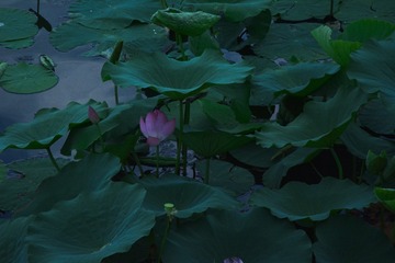 35D6BF14-3D8C-411B-8BDC-0A68AE911D69/L0/001