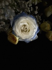 6D962280-95C2-4B3A-9D3B-CC381BE3892A/L0/001
