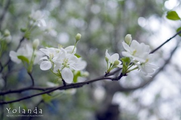 _IGP4581.jpg