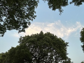 B17A95FF-FD92-421E-AAB4-D1127107F0B2/L0/001