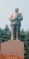 3576445