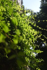 3A5137D2-9D0A-4ED4-92F0-2C2B3F4B6B69/L0/001