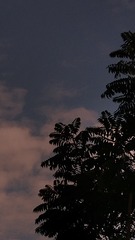126977