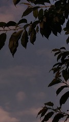 126979