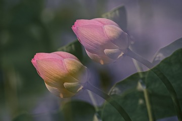 1101255
