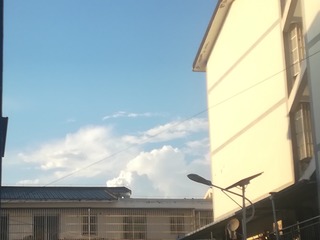 2895635