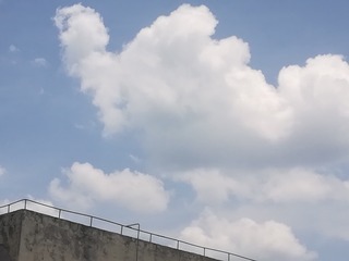 2802641