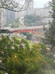 2763982