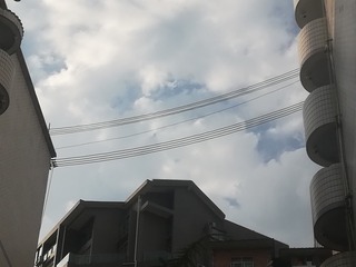 2800675