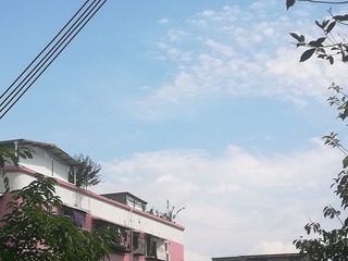 2800650