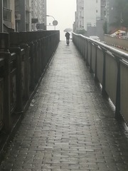 2763599