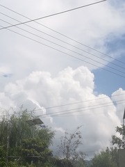2895655