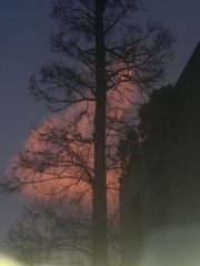 2895581