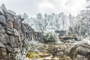 _DSC5786