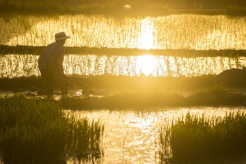 _DSC6110