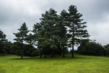 _DSC5947