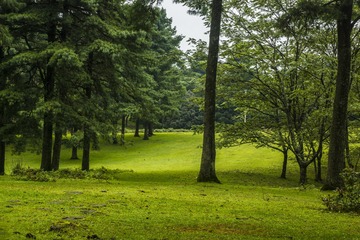 _DSC5954