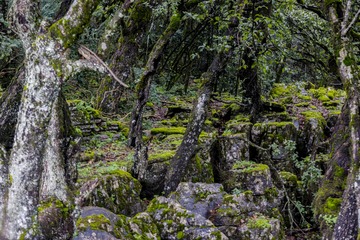 _DSC5910