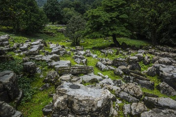 _DSC5880