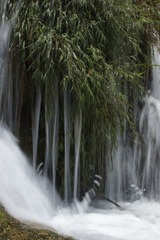 _DSC1732