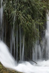 _DSC1731