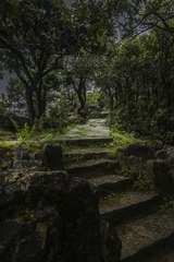 _DSC5903
